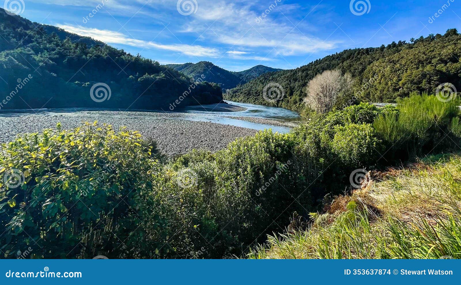 the buller river flowing through the forest covered buller gorge