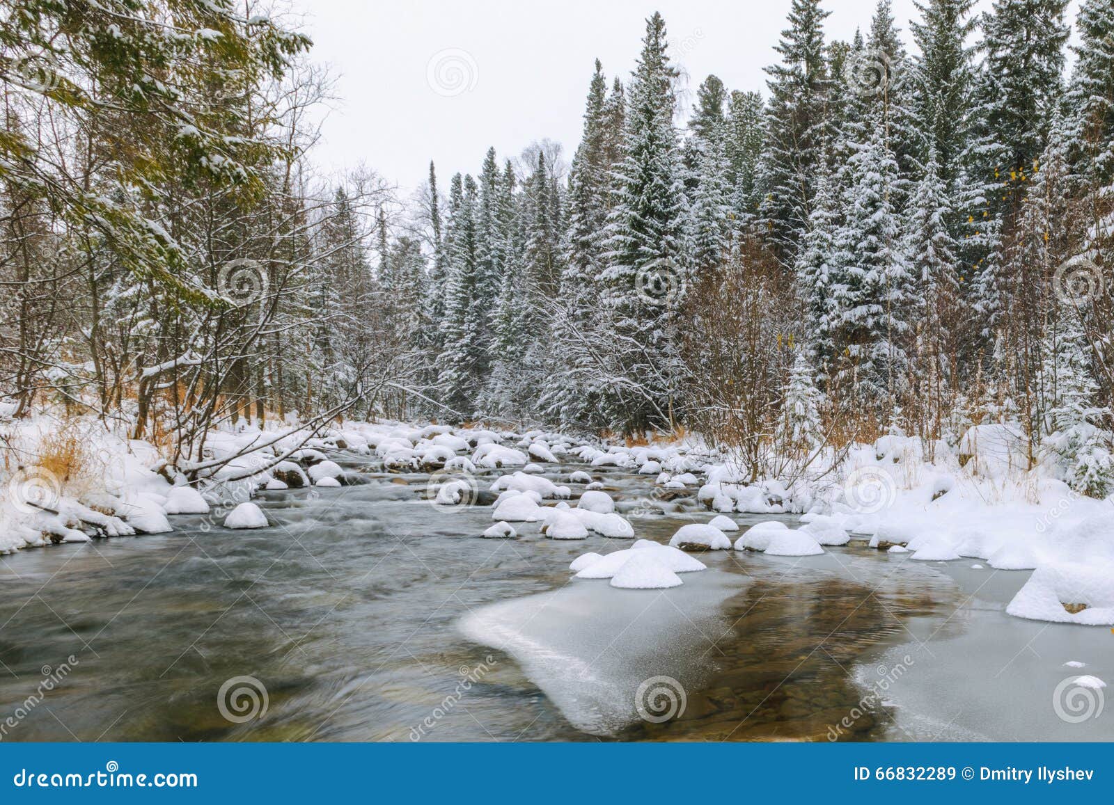River With Snowy Stones In Forest Russian Nature Stock Image Image