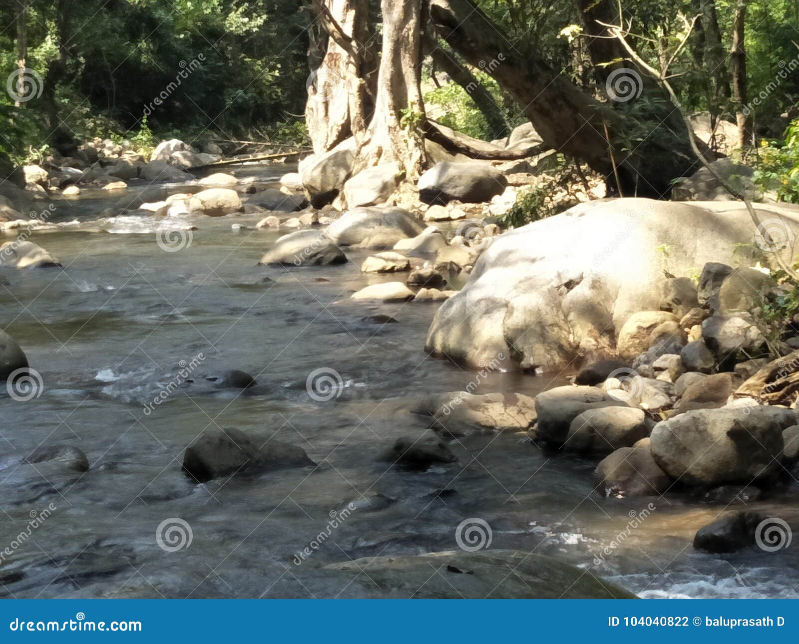 River stock photo. Image of india, tamil, nadu, river 104040822