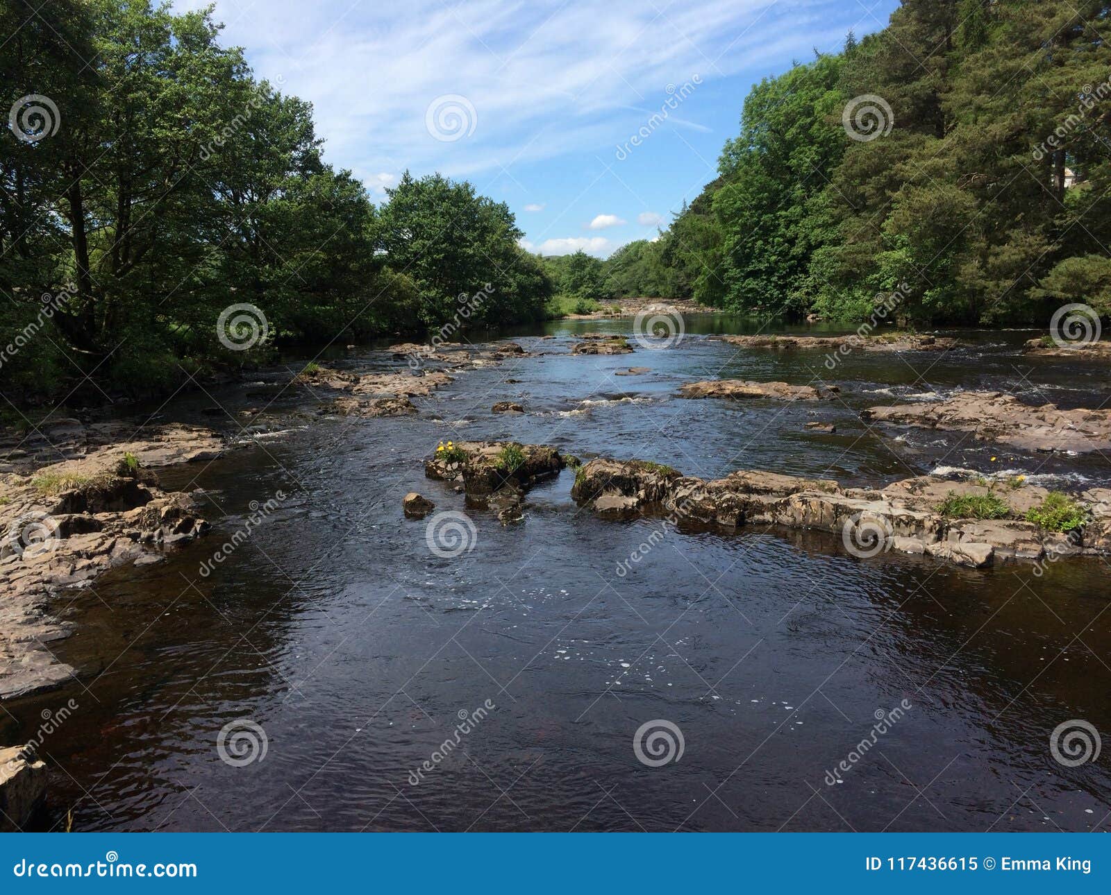 The River Tees at Gainford stock image. Image of view 117436615