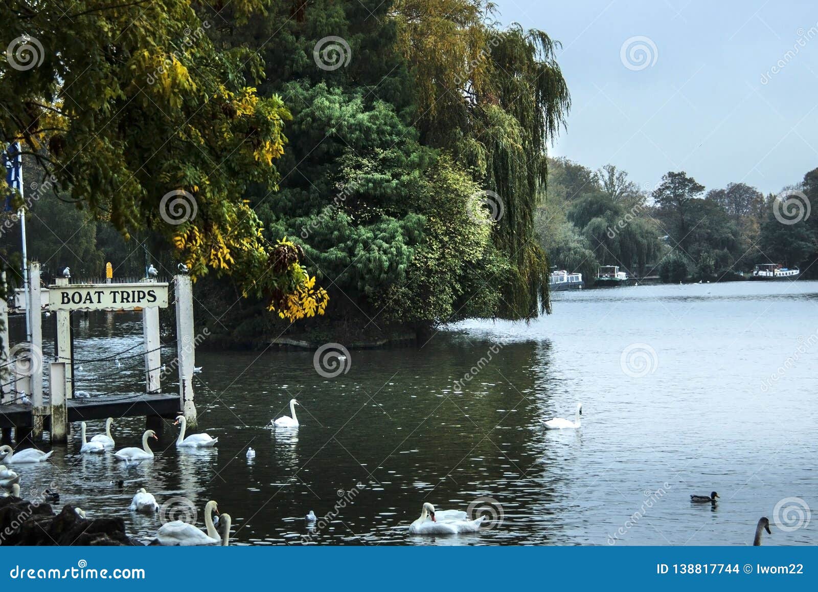 River Thames. Windsor, Berkshire, England, UK Stock Photo Image of