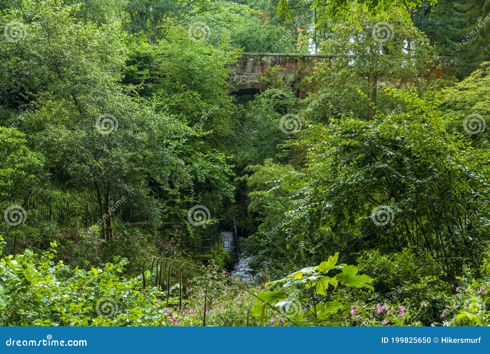 river tower burn with small bridge in public pittencrieff park dunfermline