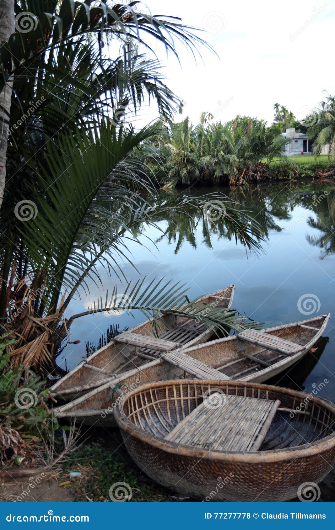 River with Traditional Bamboo Boats in Vietnam Stock Photo Image of