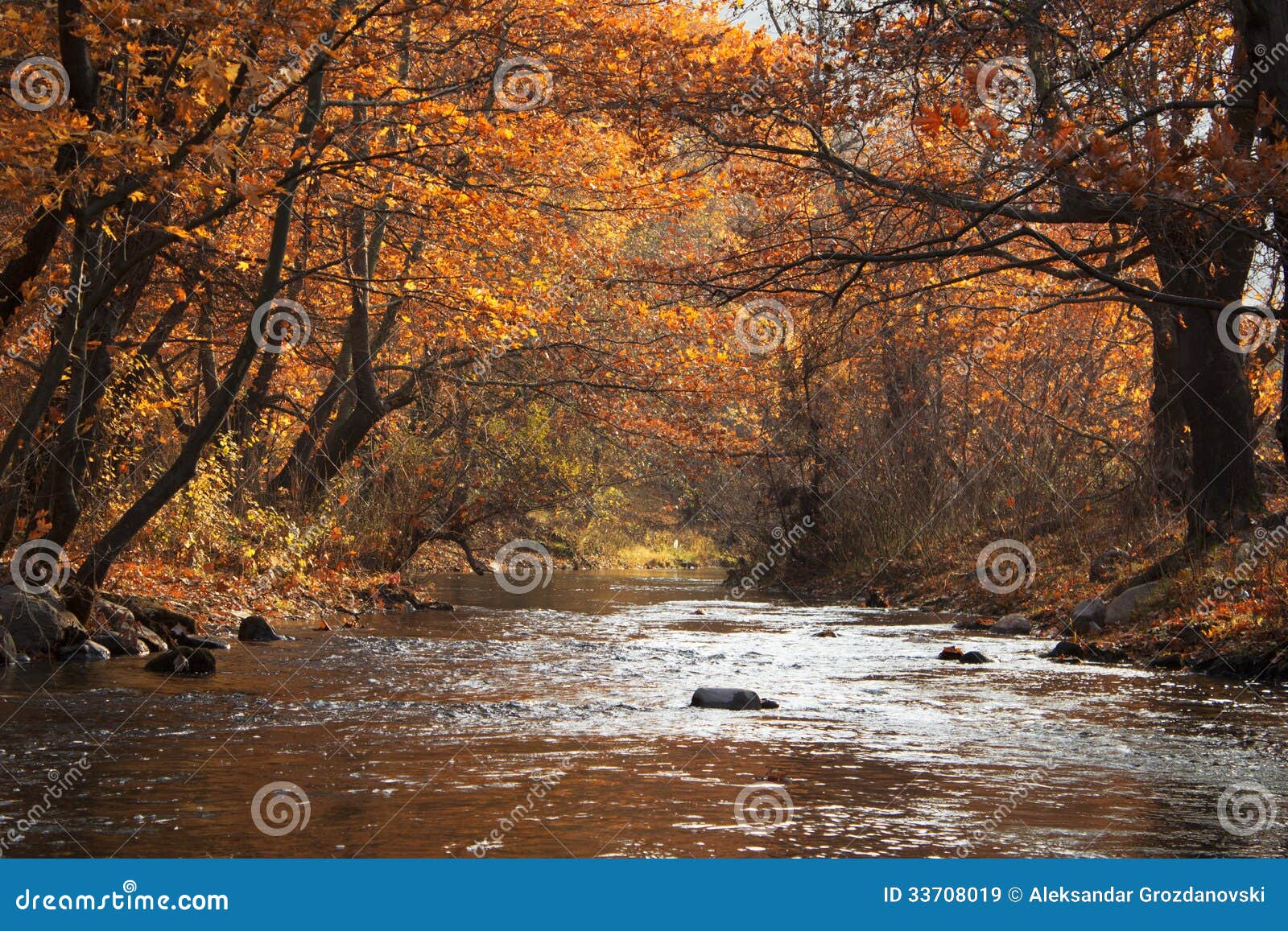 River And Trees In Autumn Stock Image Image Of Scenery 33708019