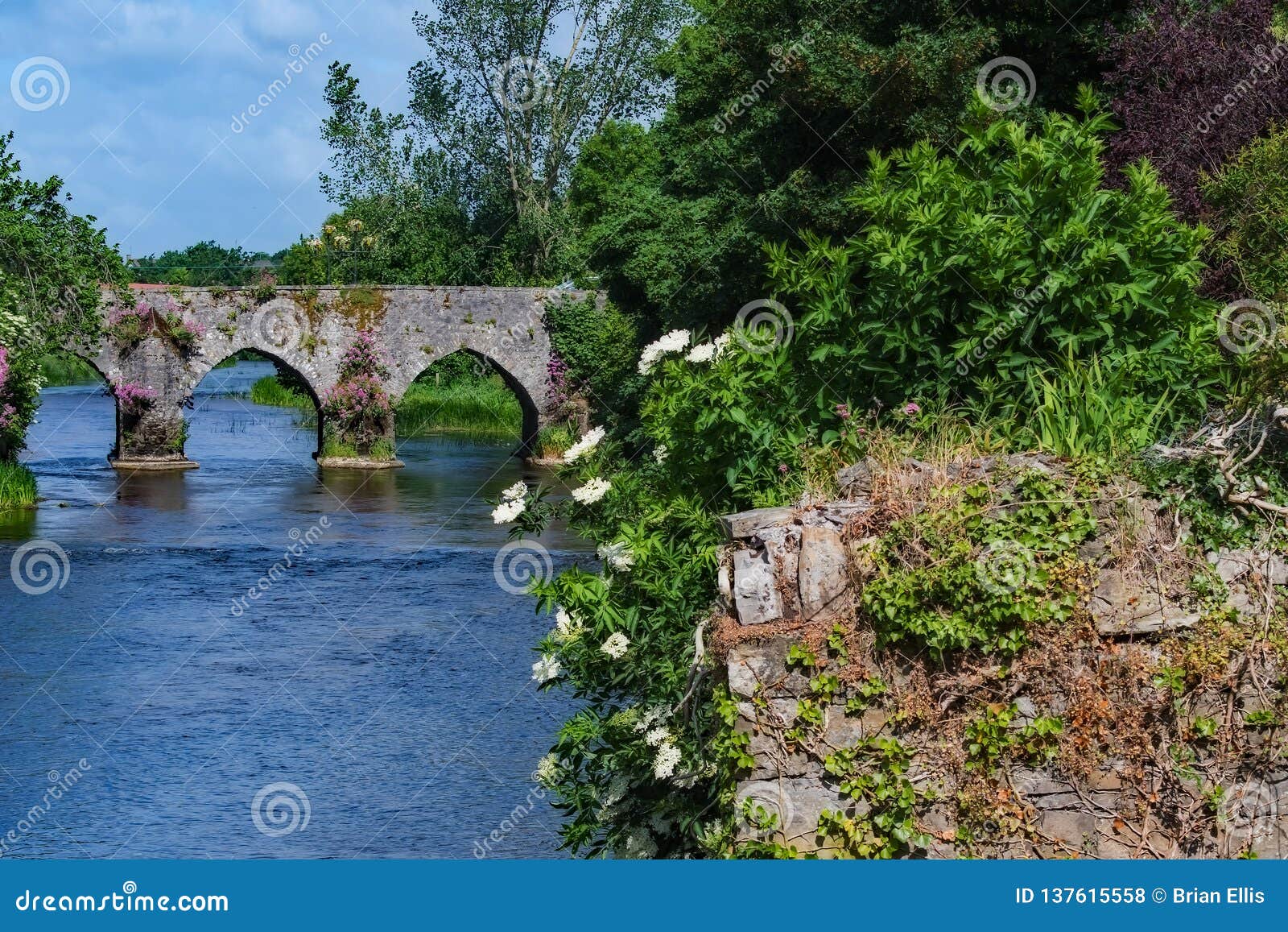 River at Trim Castle stock photo. Image of architecture 137615558