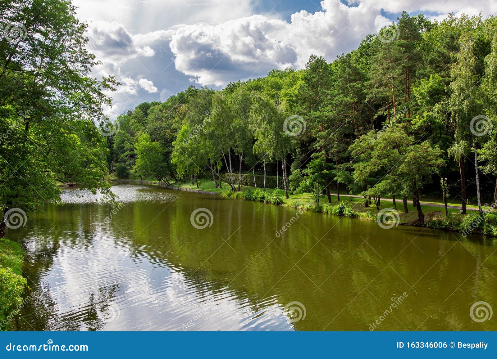 River With Water In A Forest With Green Trees On The Banks Of A Pond