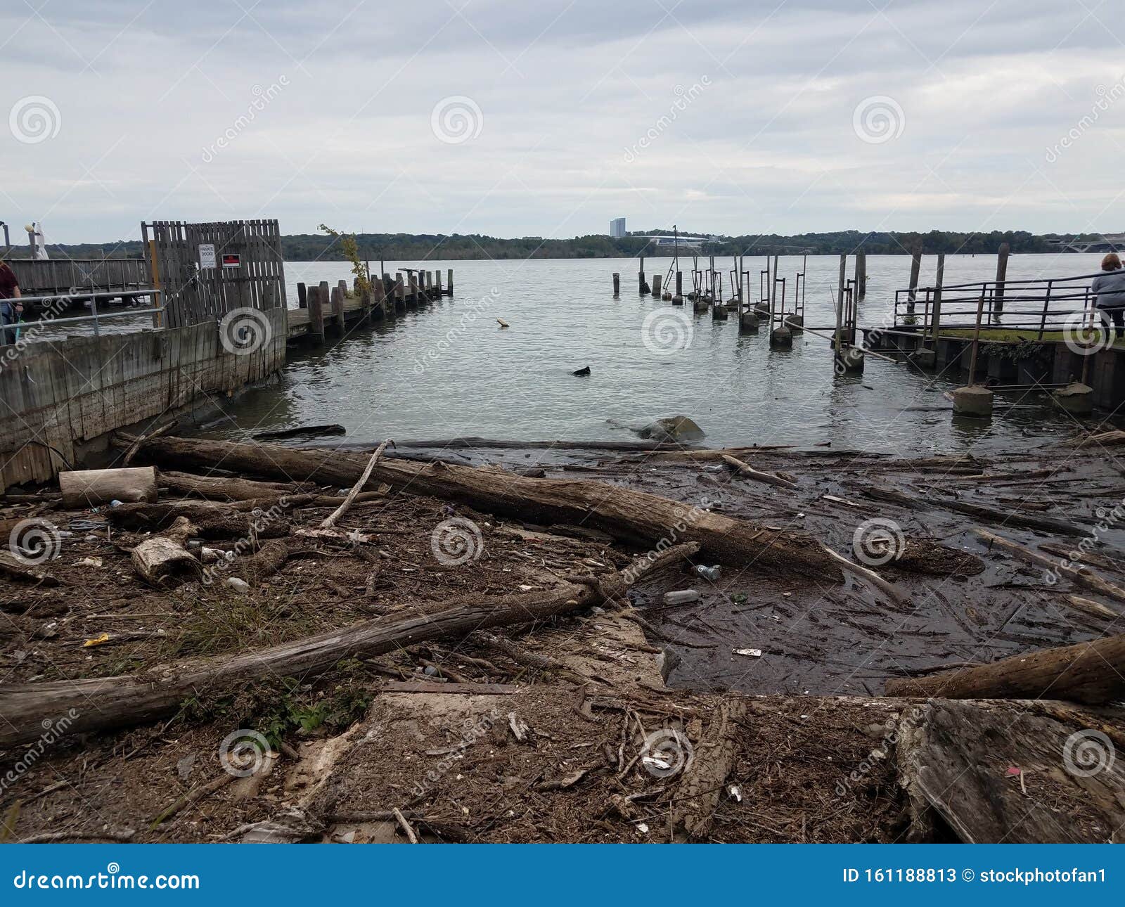 River Water With Wood And Debris Floating Stock Image Image Of