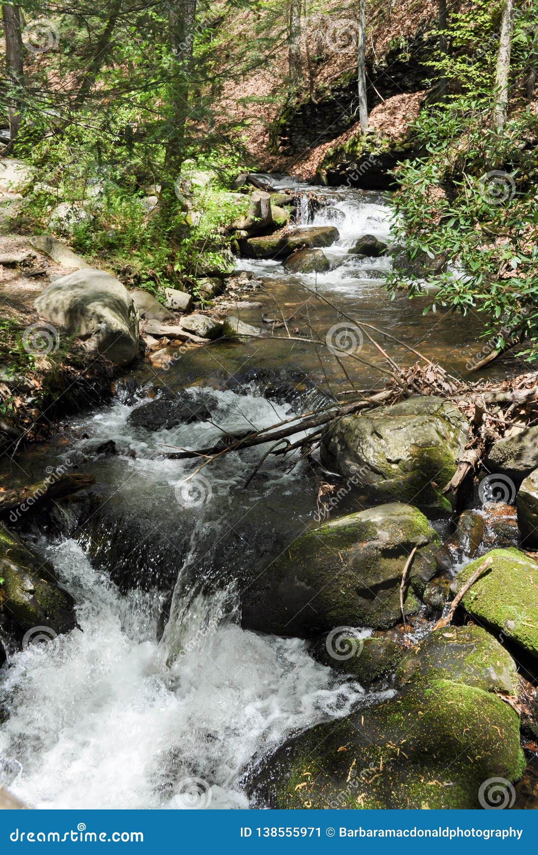 Waterfall through the Woods and Forest of Pennsylvania Stock Image
