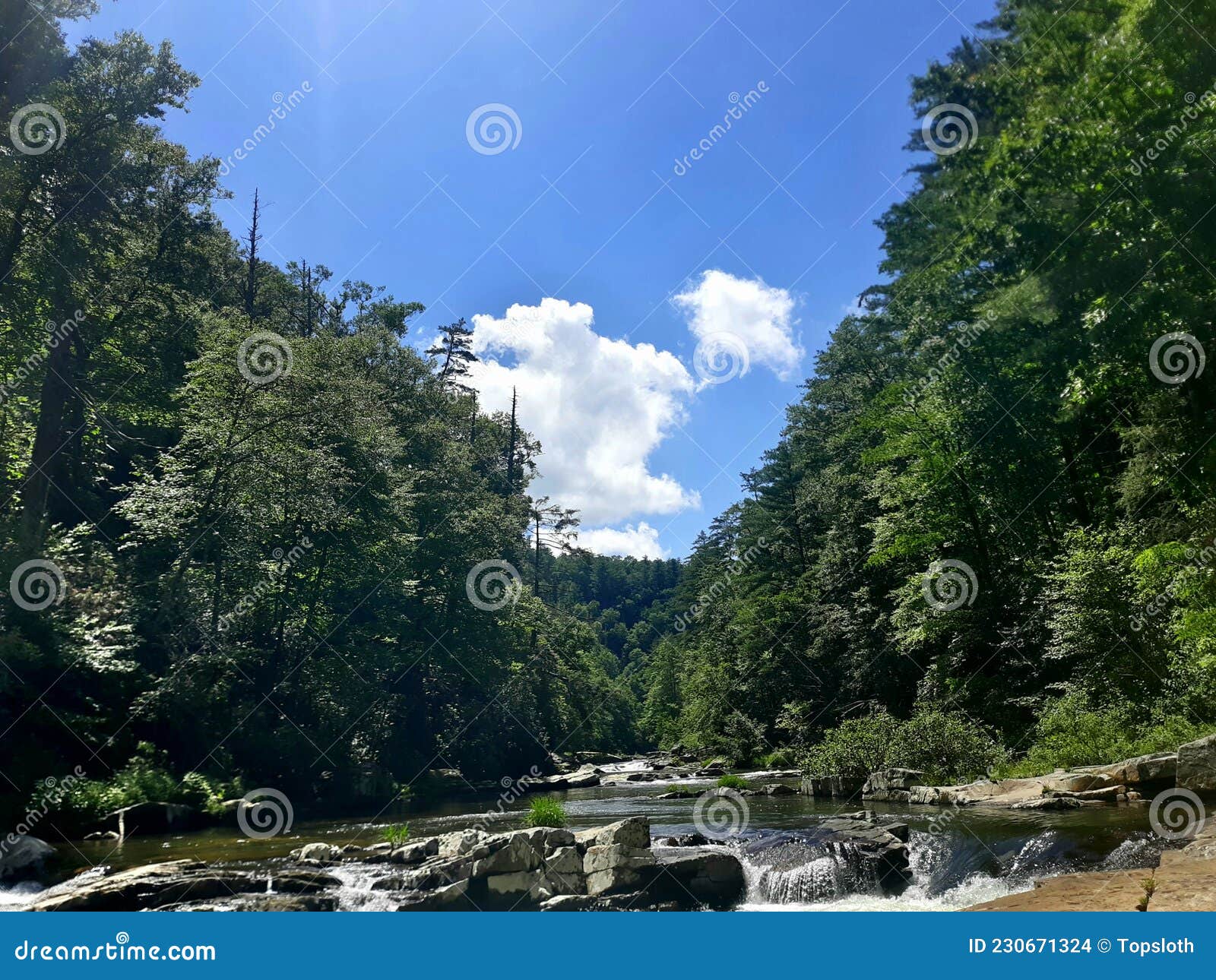 Riverway Near Linville Falls Stock Photo Image of forest, reflection