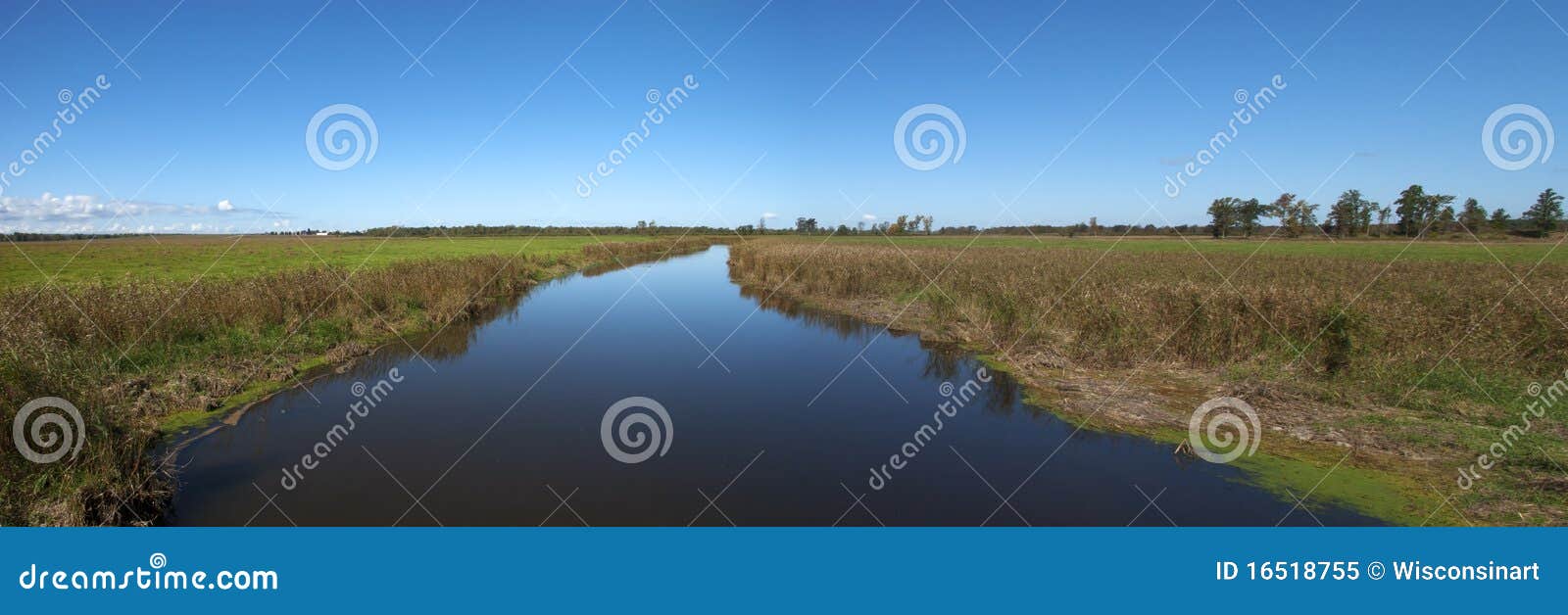 river wetlands panorama, panoramic, nature banner