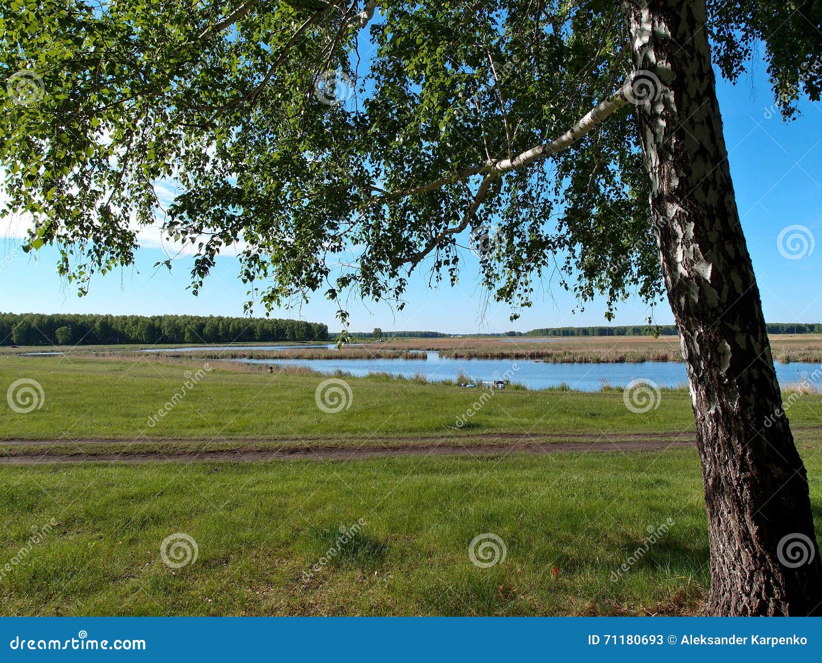 river yaman