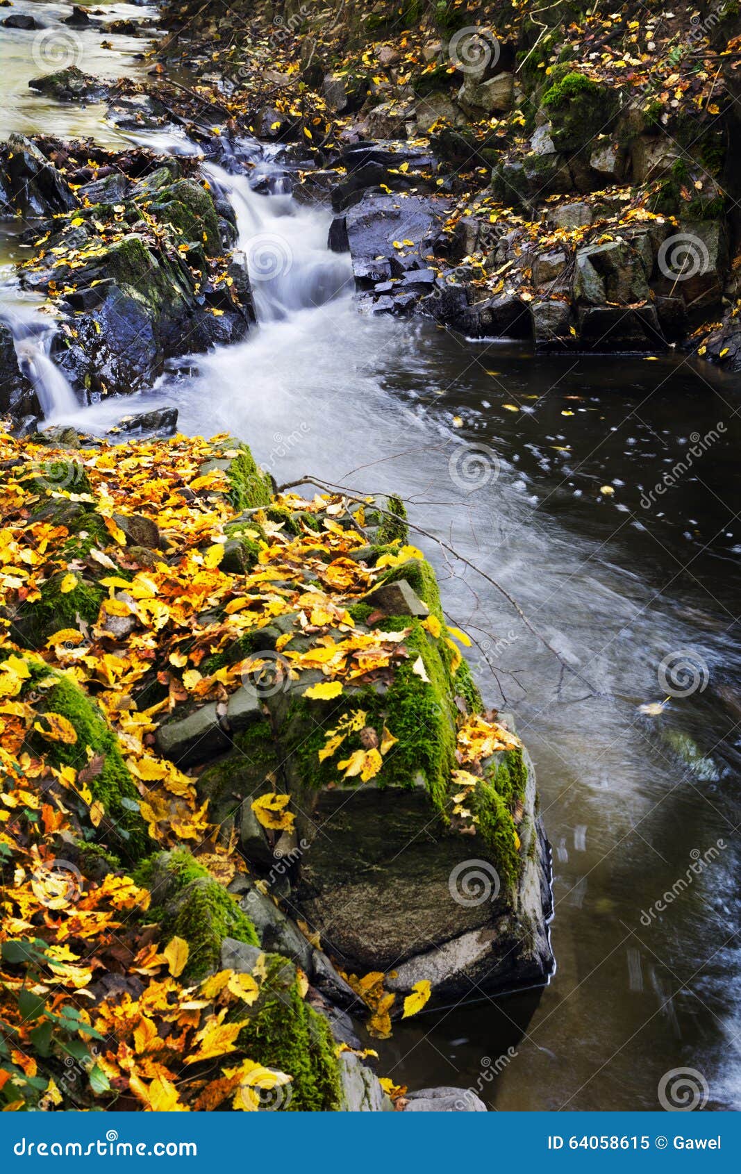 River And Yellow Leaves In Autumn Season Stock Image Image Of Tarare