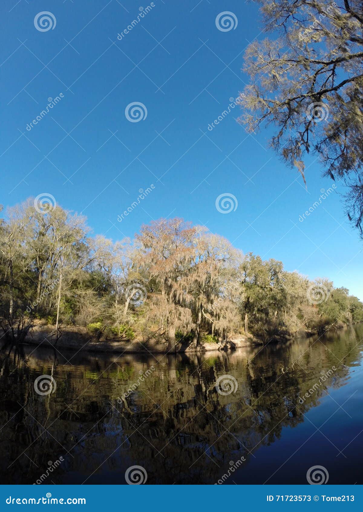 Riverbank imagen de archivo. Imagen de riverbank, fluvial 71723573