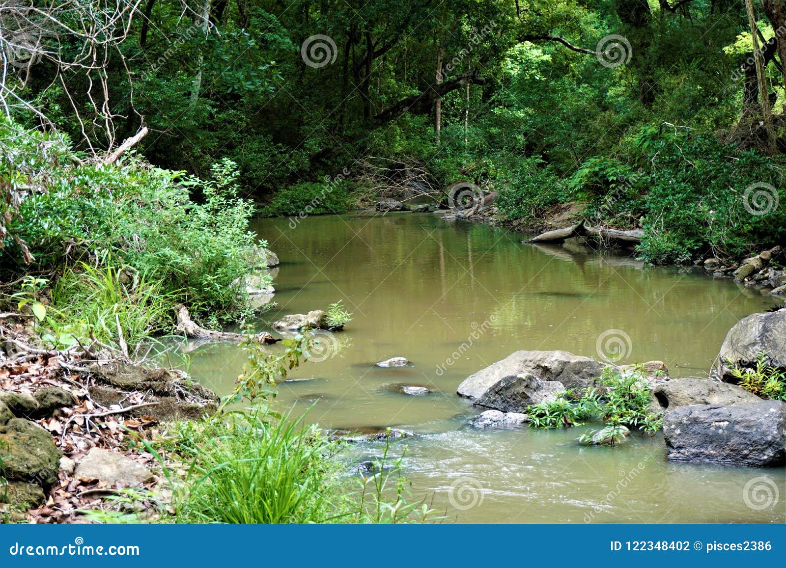 riverbank in the lomas de barbudal biological reserve