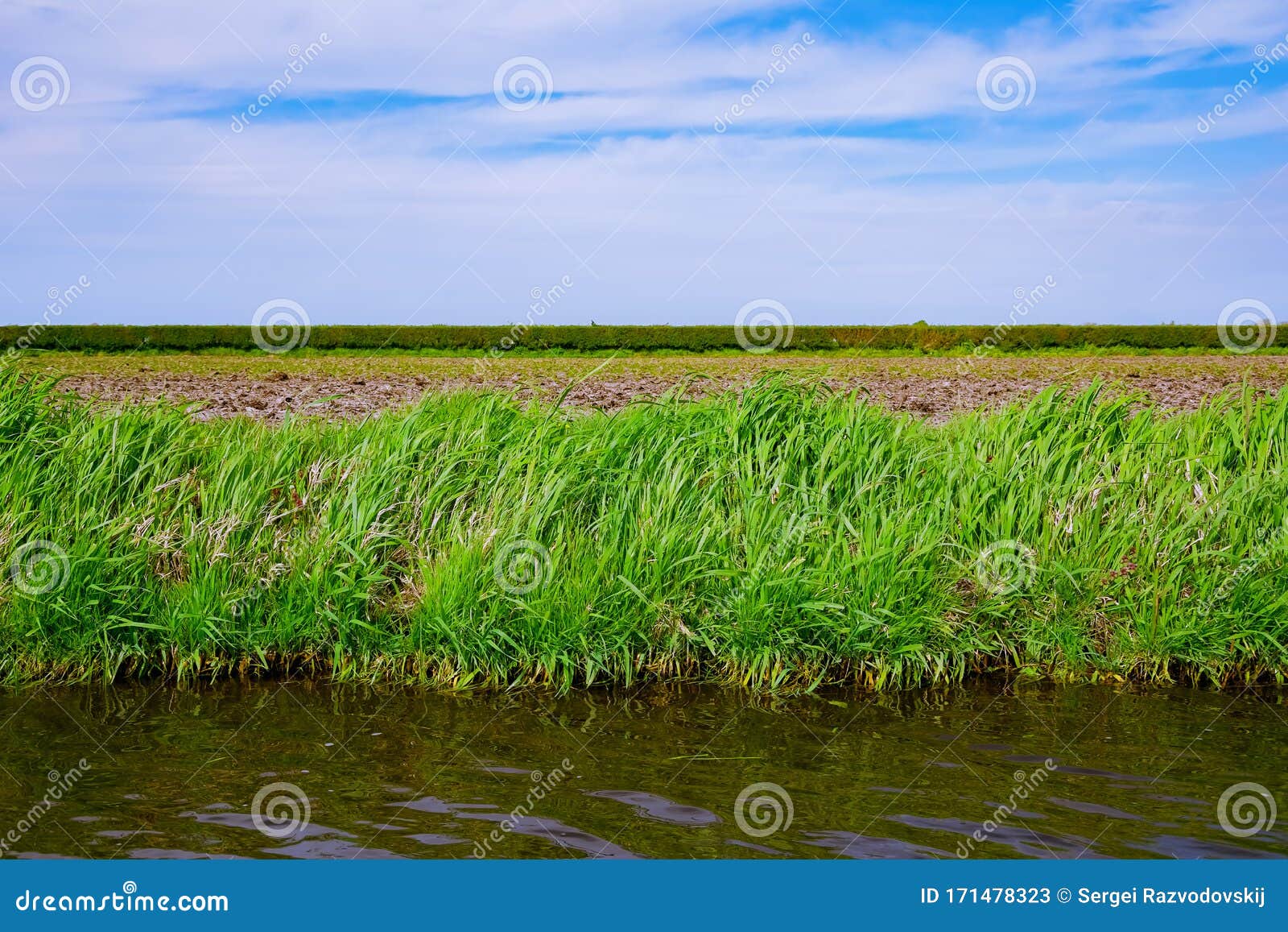 Riverbank Overgrown with Grass Stock Image Image of nature, coast