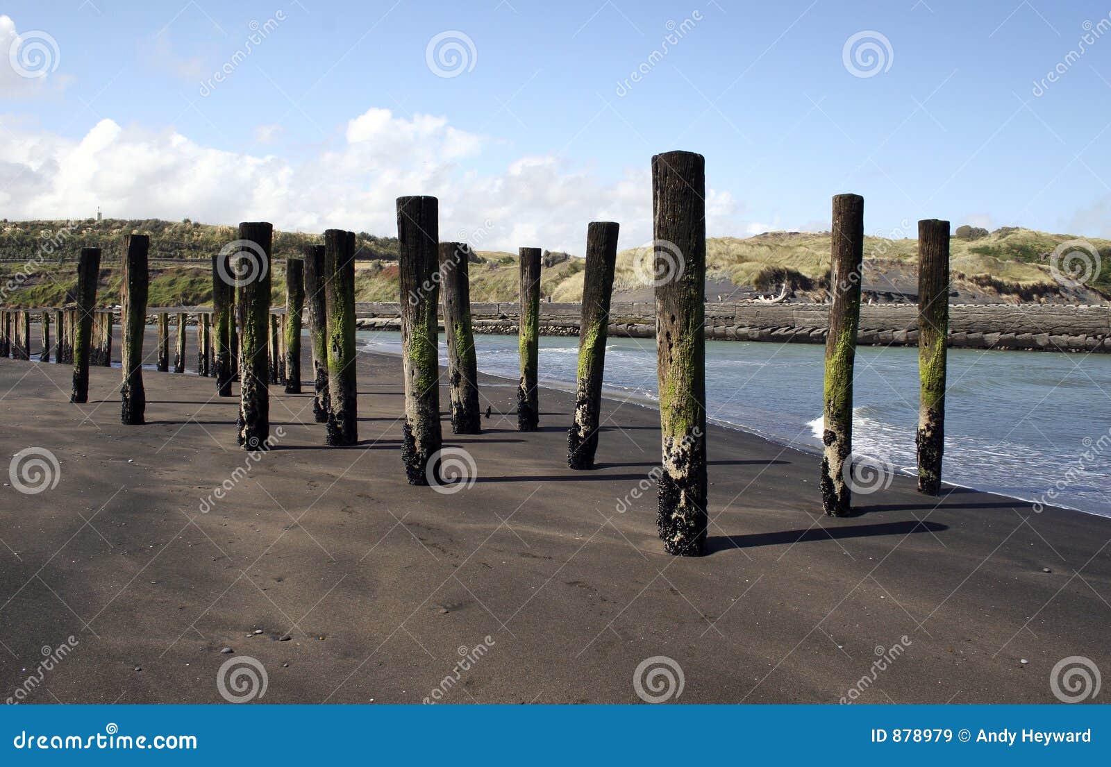 rivermouth