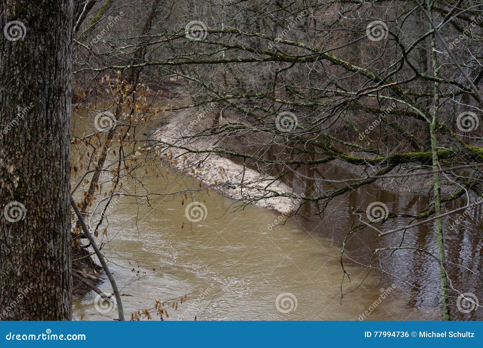 Rivers joining stock photo. Image of water, land, flow 77994736