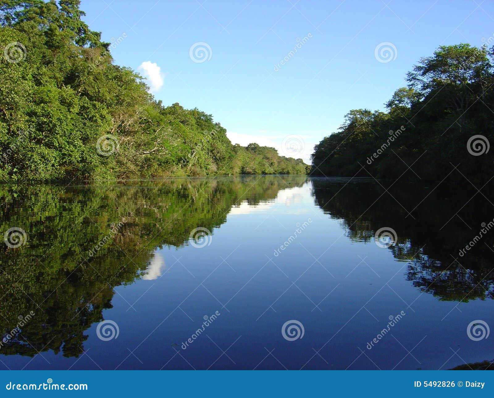 rivers and jungles in peru