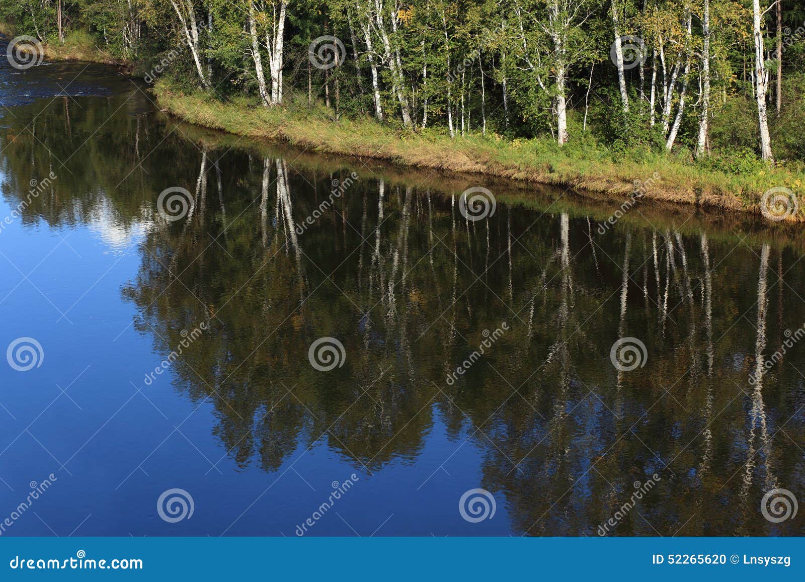 Rivers in the Wilderness of this World Stock Photo Image of rivers