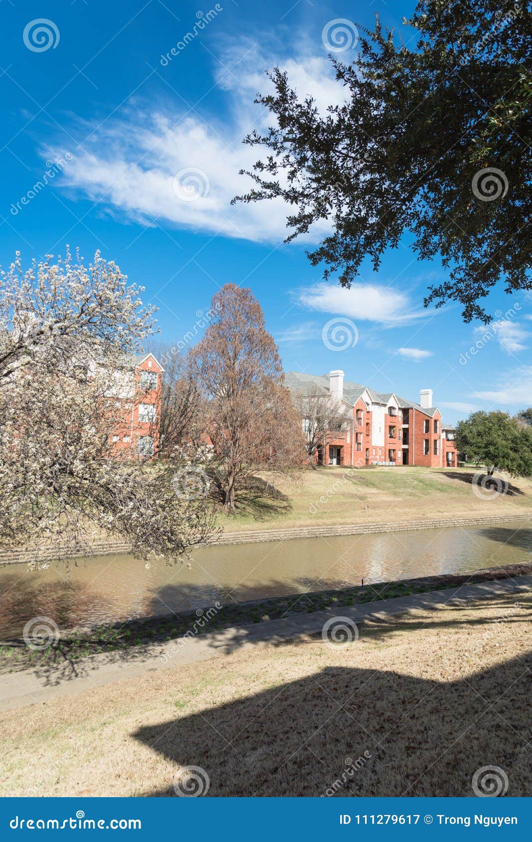 Riverside Apartment with Tree Blossom at Springtime in America Stock Image Image of