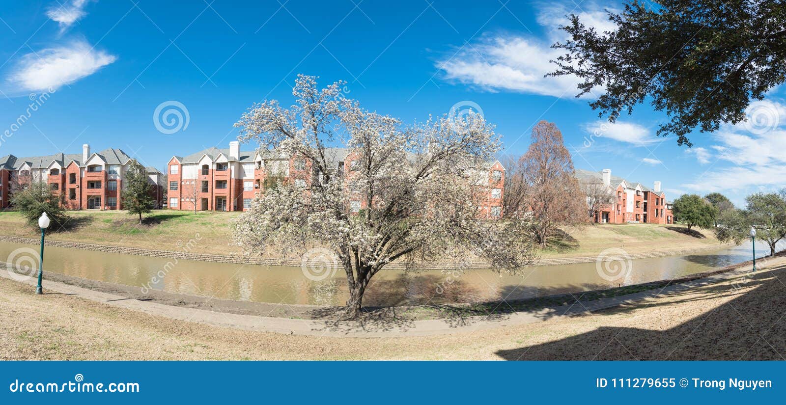 Riverside Apartment with Tree Blossom at Springtime in America Stock Image Image of complex