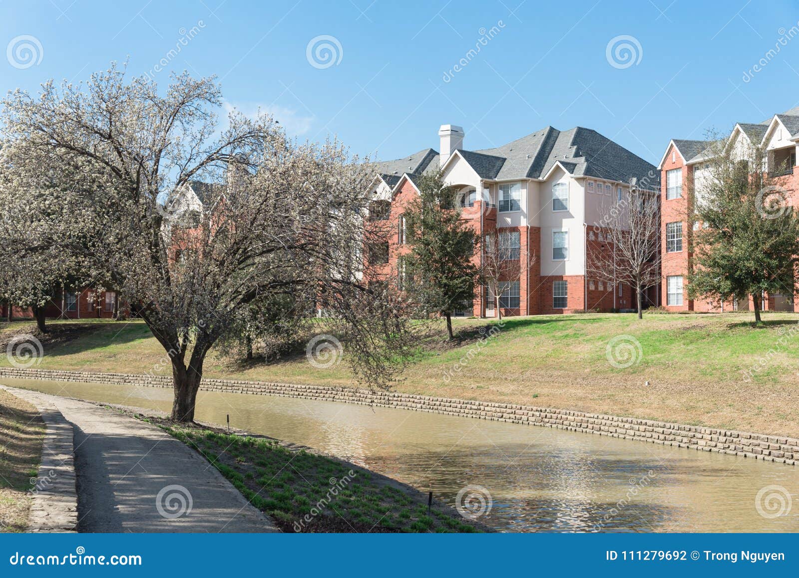Riverside Apartment with Tree Blossom at Springtime in America Stock Photo Image of cityscape