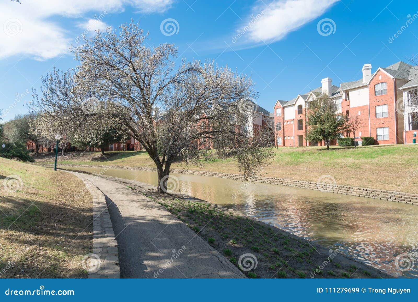 Riverside Apartment with Tree Blossom at Springtime in America Stock Image Image of irving