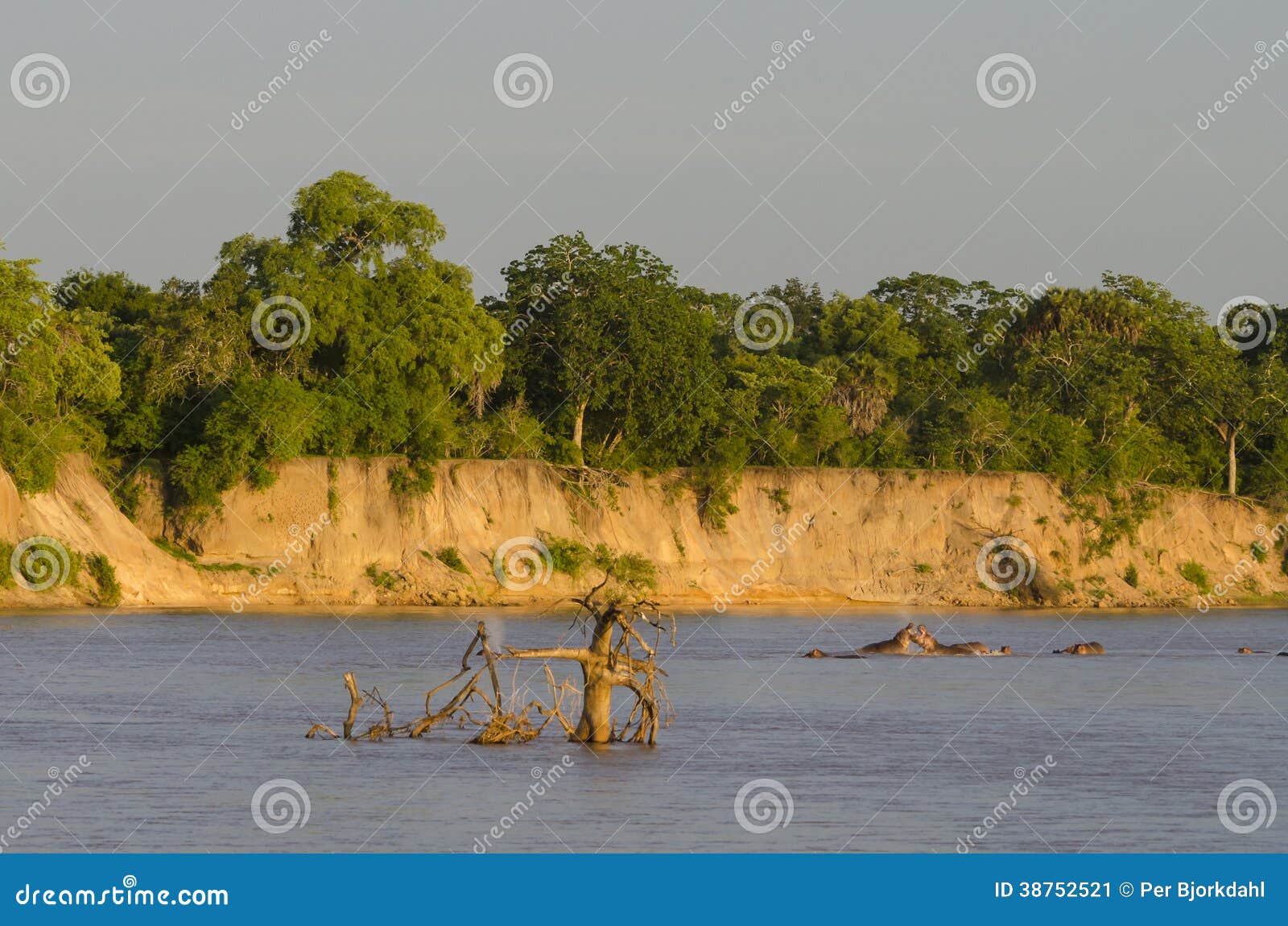 rufiji tanzanie