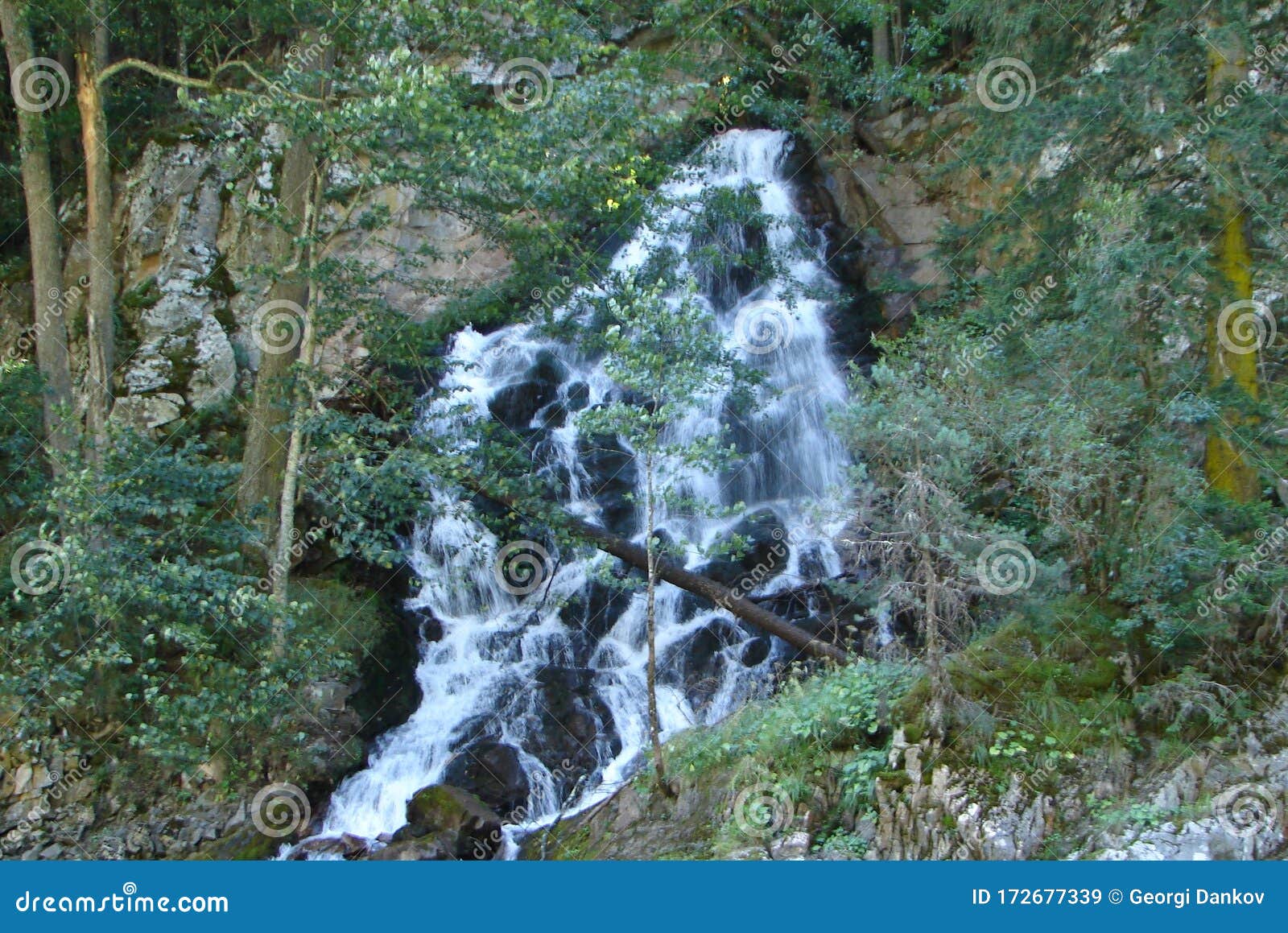 Of the rivulet stock image. Image of mountain, nature 172677339
