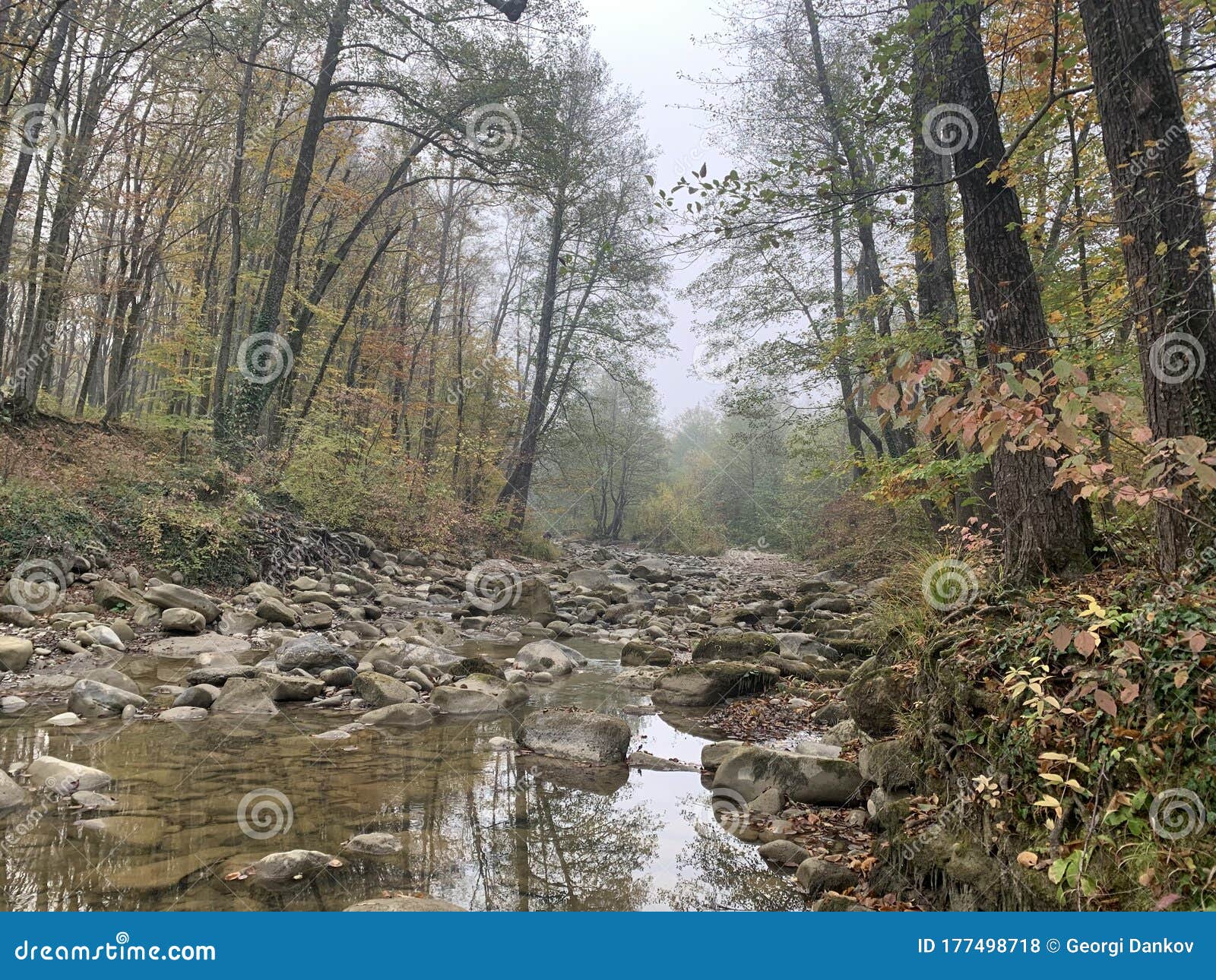 Of the rivulet editorial stock photo. Image of rocks 177498718