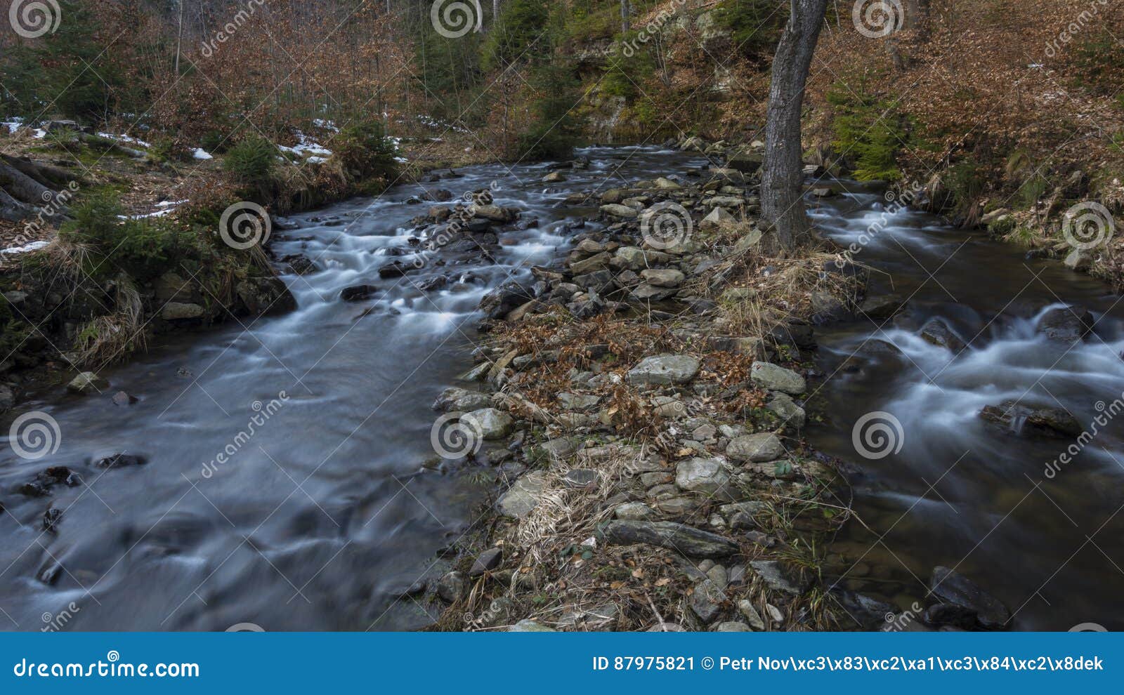 The rivulets in forest. stock image. Image of long, water 87975821