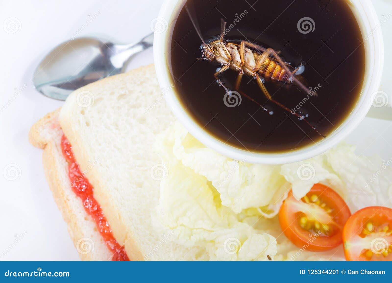 Roach Sleeping Dead in a Cup of Coffee. the Problem in the House