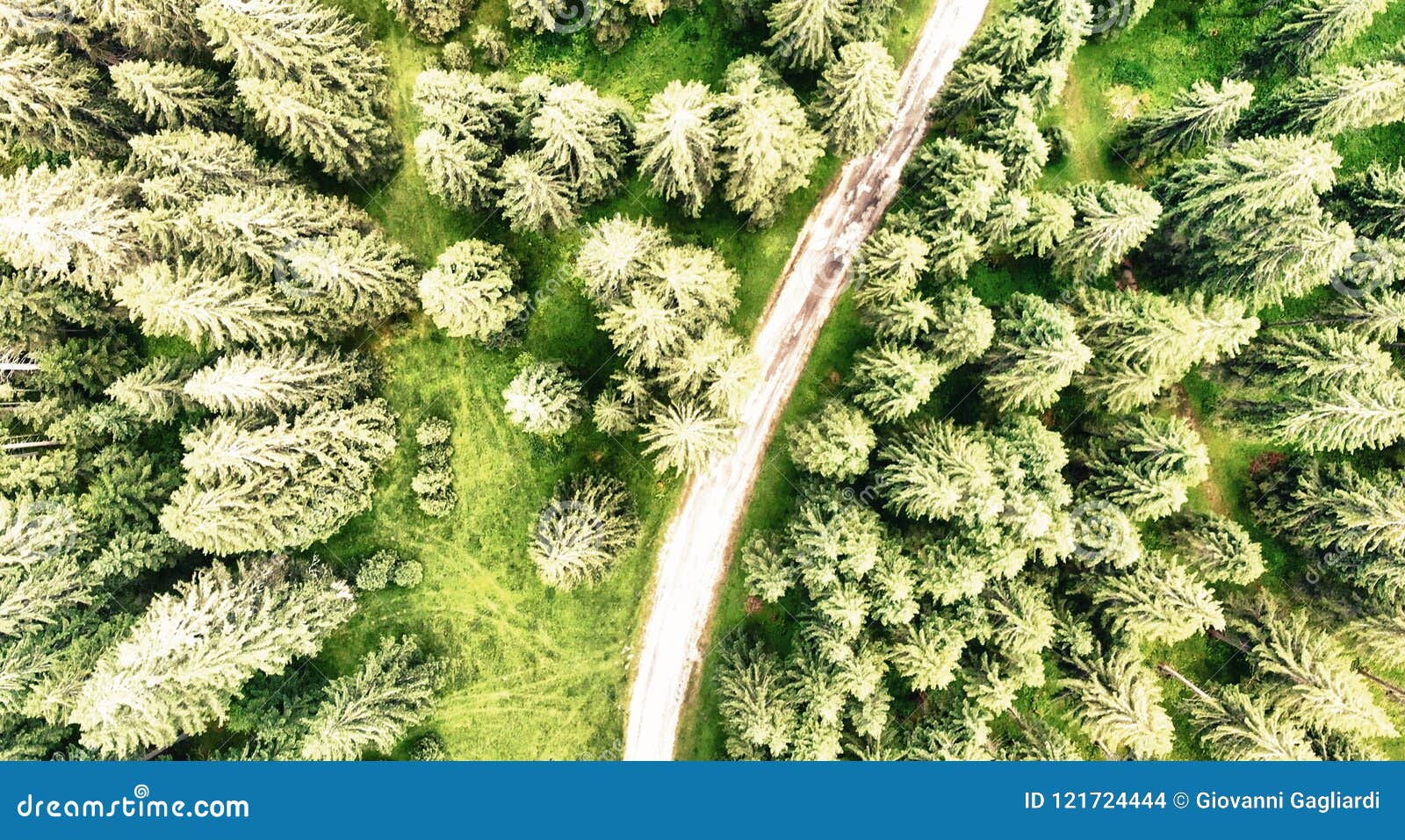 Road Across the Forest, Overhead View from Drone Stock Photo Image of