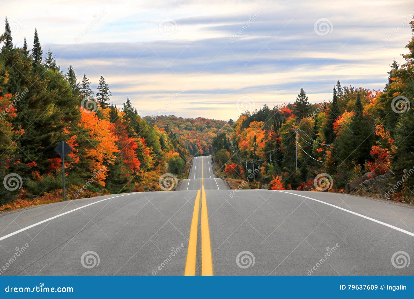road through algonquin provincial park in fall, ontario, canada
