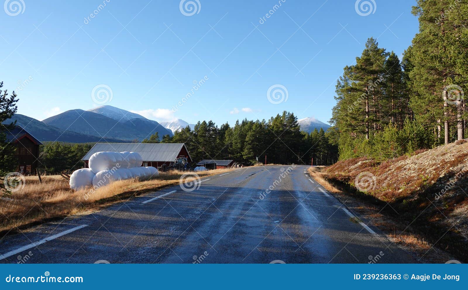 road in rondane national park in autumn in norwey