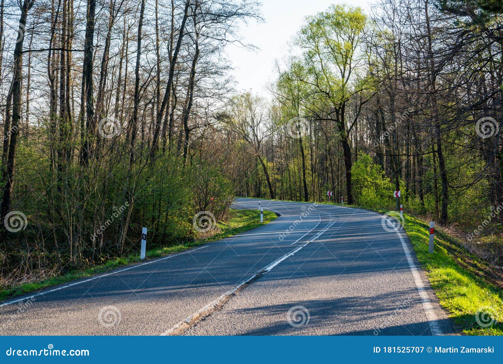 Road with a Bend in the Spring Forest Stock Image Image of road, tree
