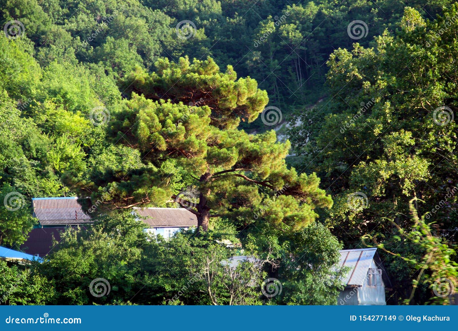 Tuapse Is A Coastal Town Stock Photography | CartoonDealer.com #186757904 