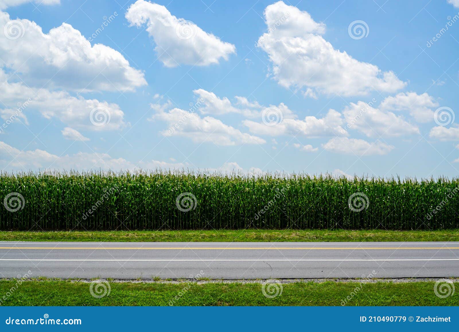Road And Corn Field With Clouds In A Blue Sky Stock Image Image Of