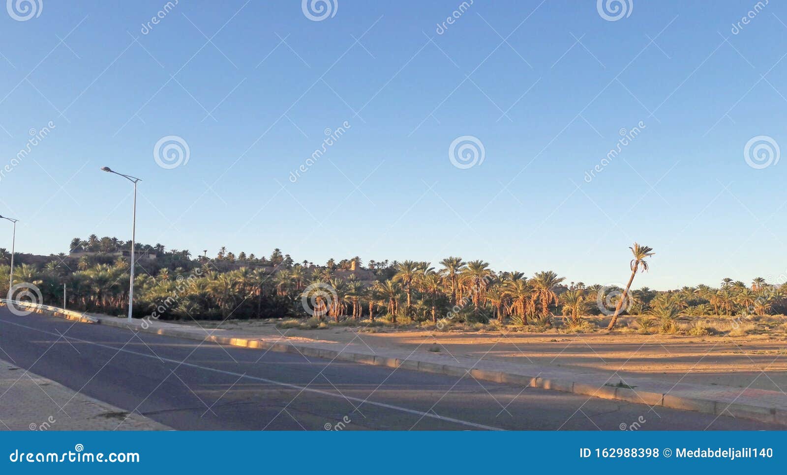 a road crossing a palm trres valley