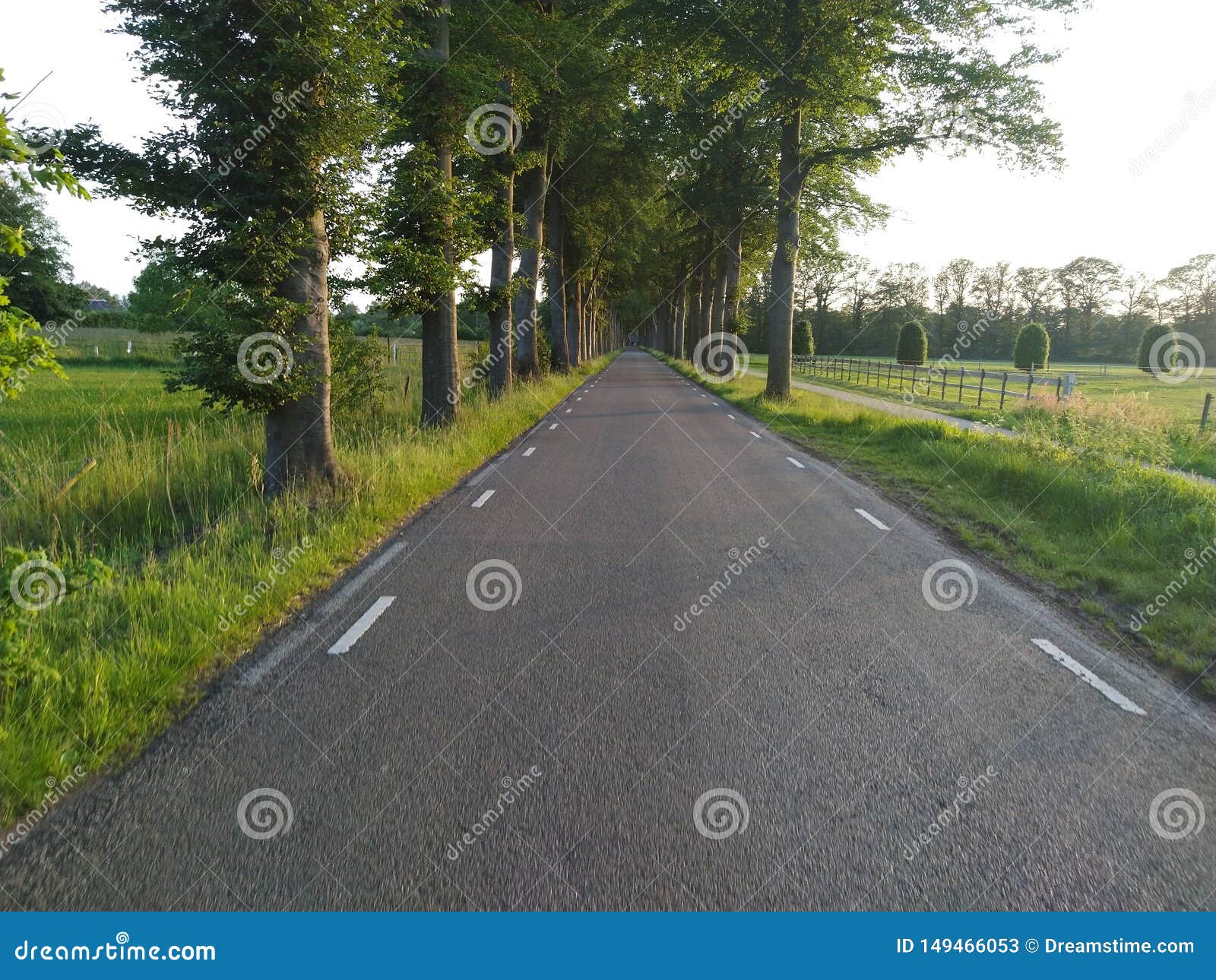 Road in farmsite stock image. Image of grass, tree, farmsite 149466053