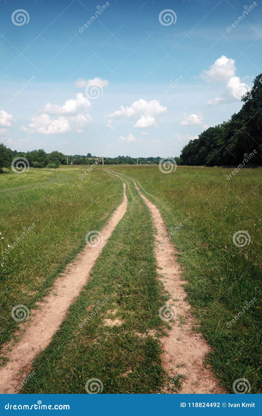Road, field and forest stock photo. Image of rural, freedom 118824492