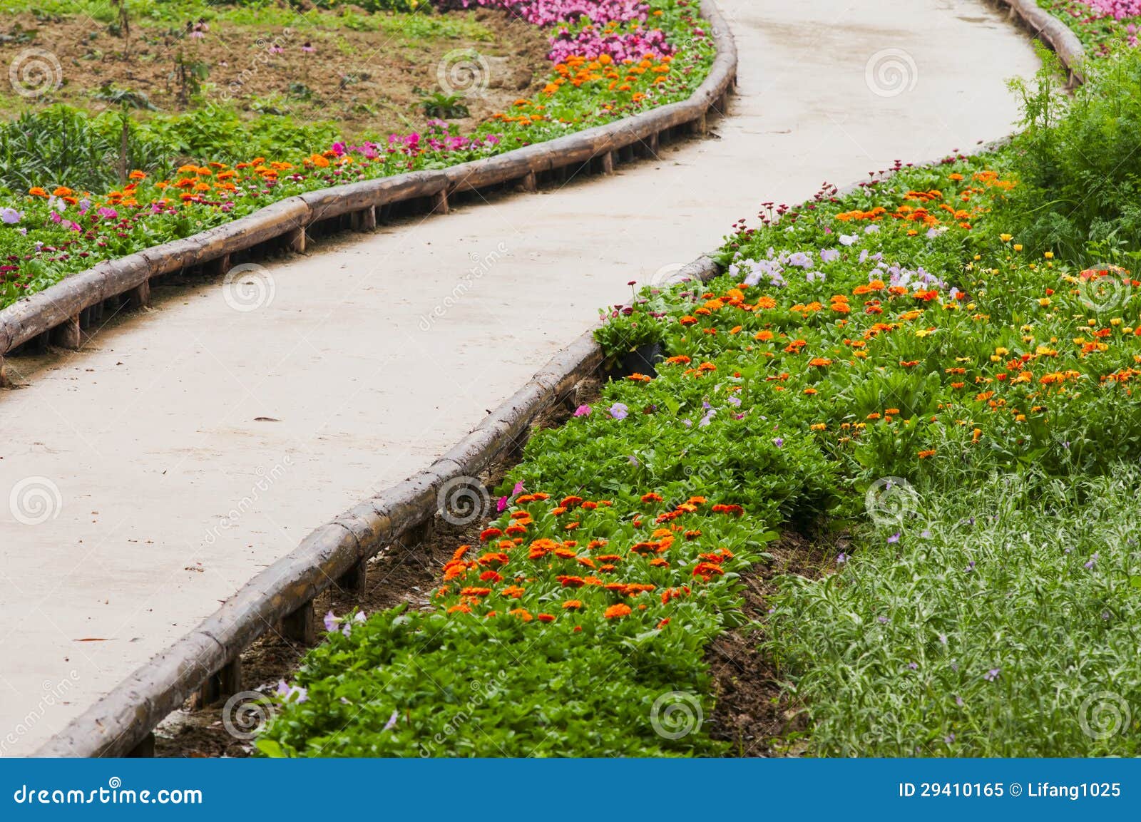Road and flower stock image. Image of flower, yellow 29410165