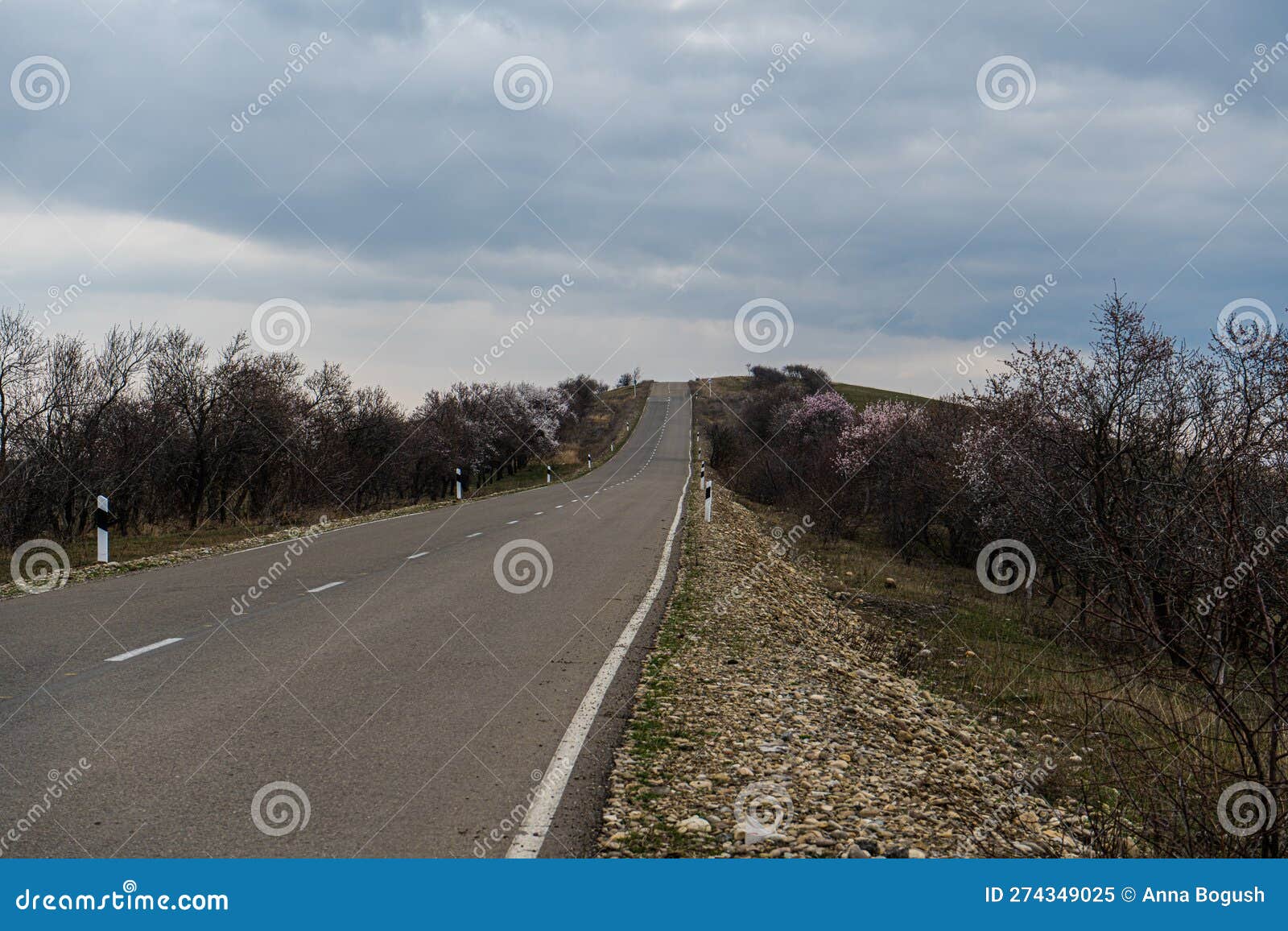 Road in Garedja desert stock image. Image of scenic 274349025