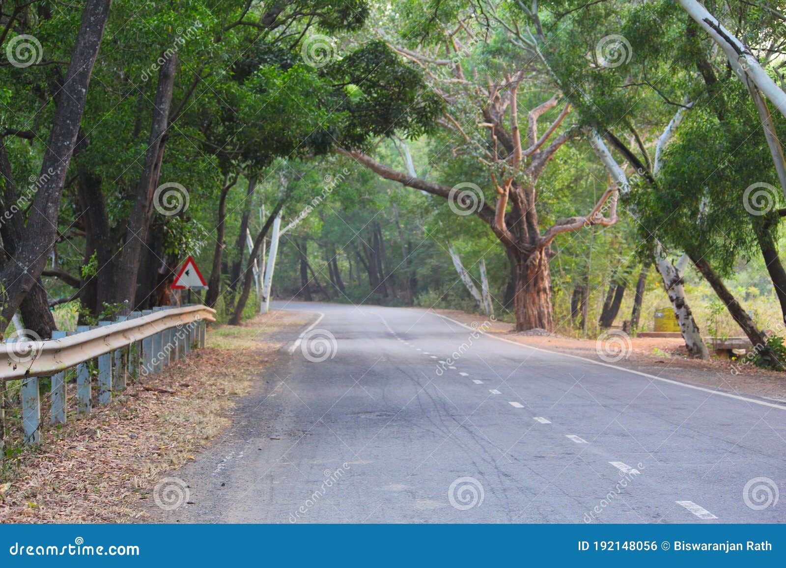 Road Going through Jungle Beautiful Road Background Wallpaper Hd Stock  Photo - Image of beautiful, background: 192148056
