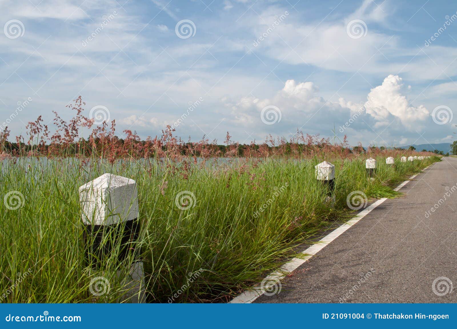 Road of Grass stock photo. Image of rural, dramatic, green 21091004