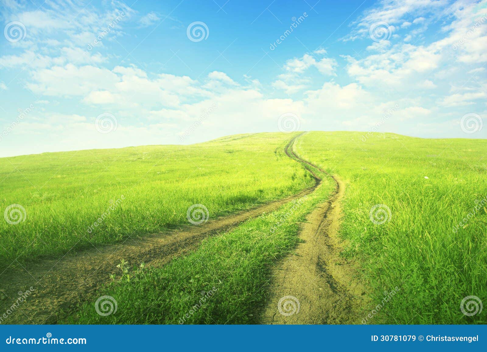 Green Field, nature, sky, grass, field, HD wallpaper | Peakpx