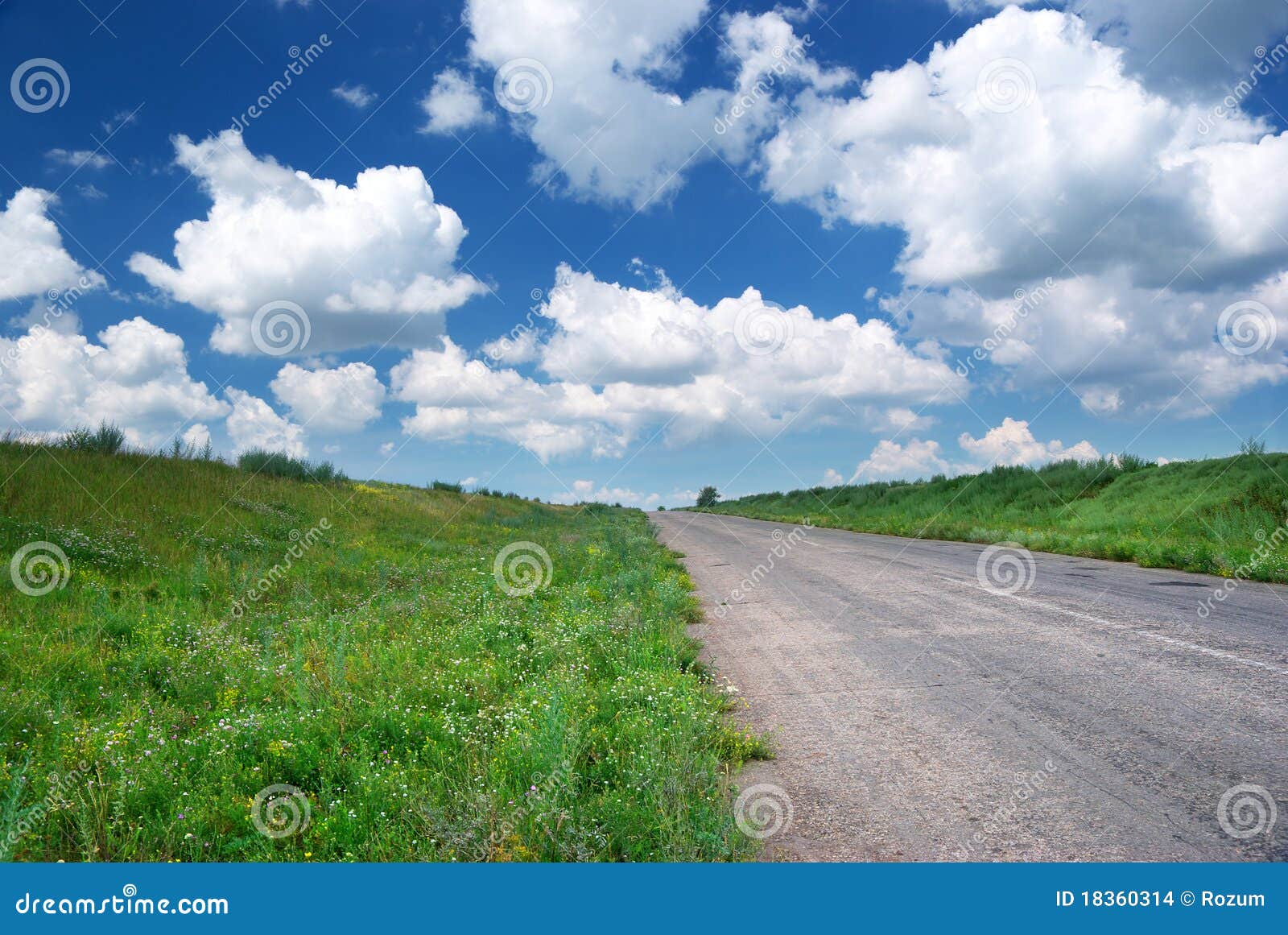 Road in green meadow stock photo. Image of field, cloudy 18360314