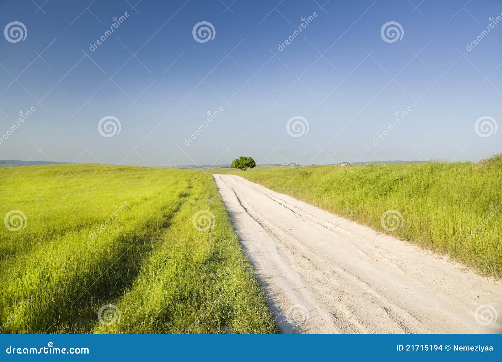 Road on green meadow stock photo. Image of countryside 21715194