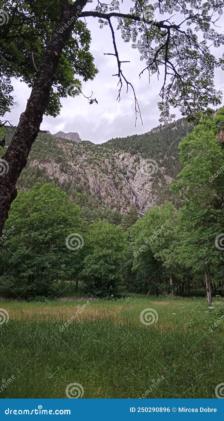 the picturesque town of panticosa, huesca, espaÃÂ±a.