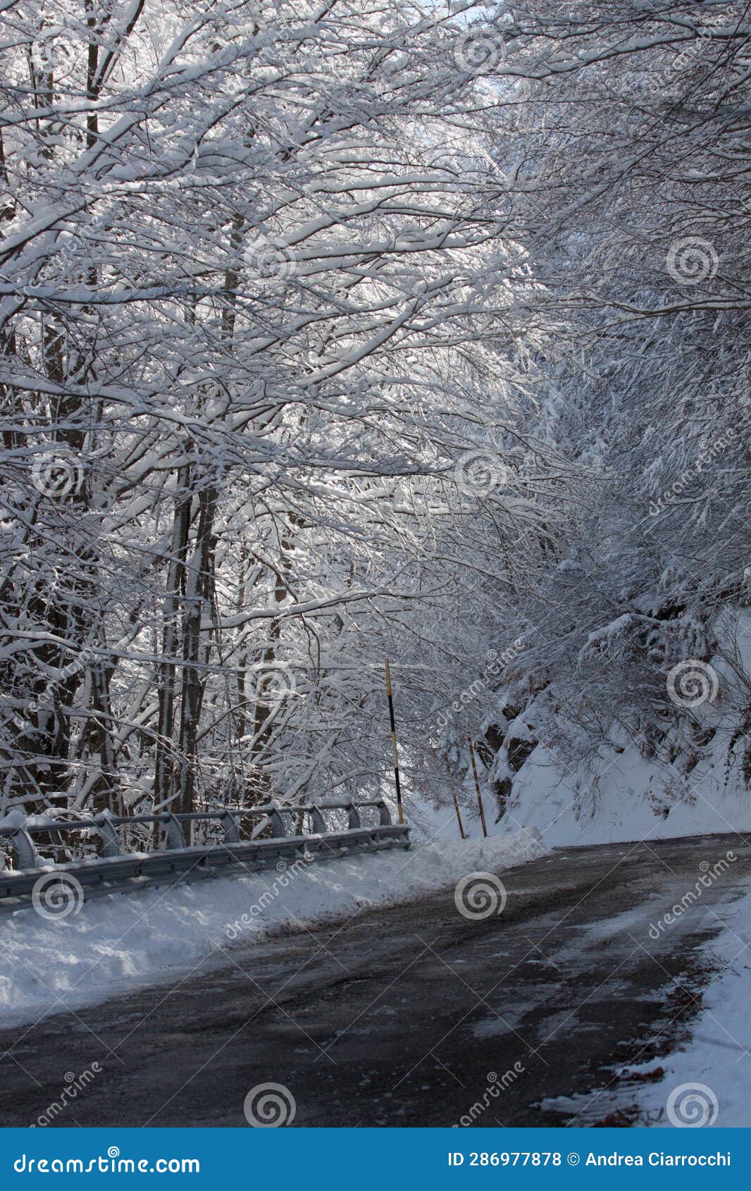 Road with ice stock photo. Image of sides, frost, season 286977878